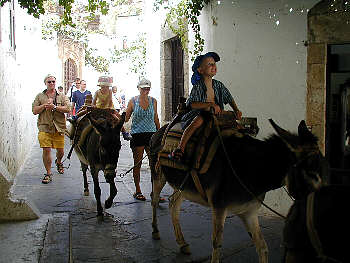 {short description of image}